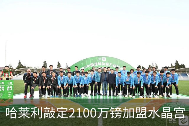 哈莱利敲定2100万镑加盟水晶宫