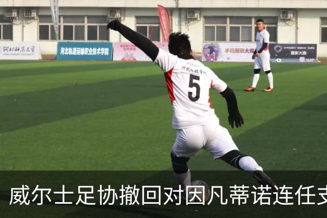 威尔士足协撤回对因凡蒂诺连任支持