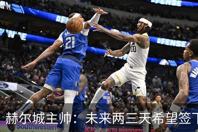 赫尔城主帅：未来两三天希望签下至少一名前锋，也可能签两人